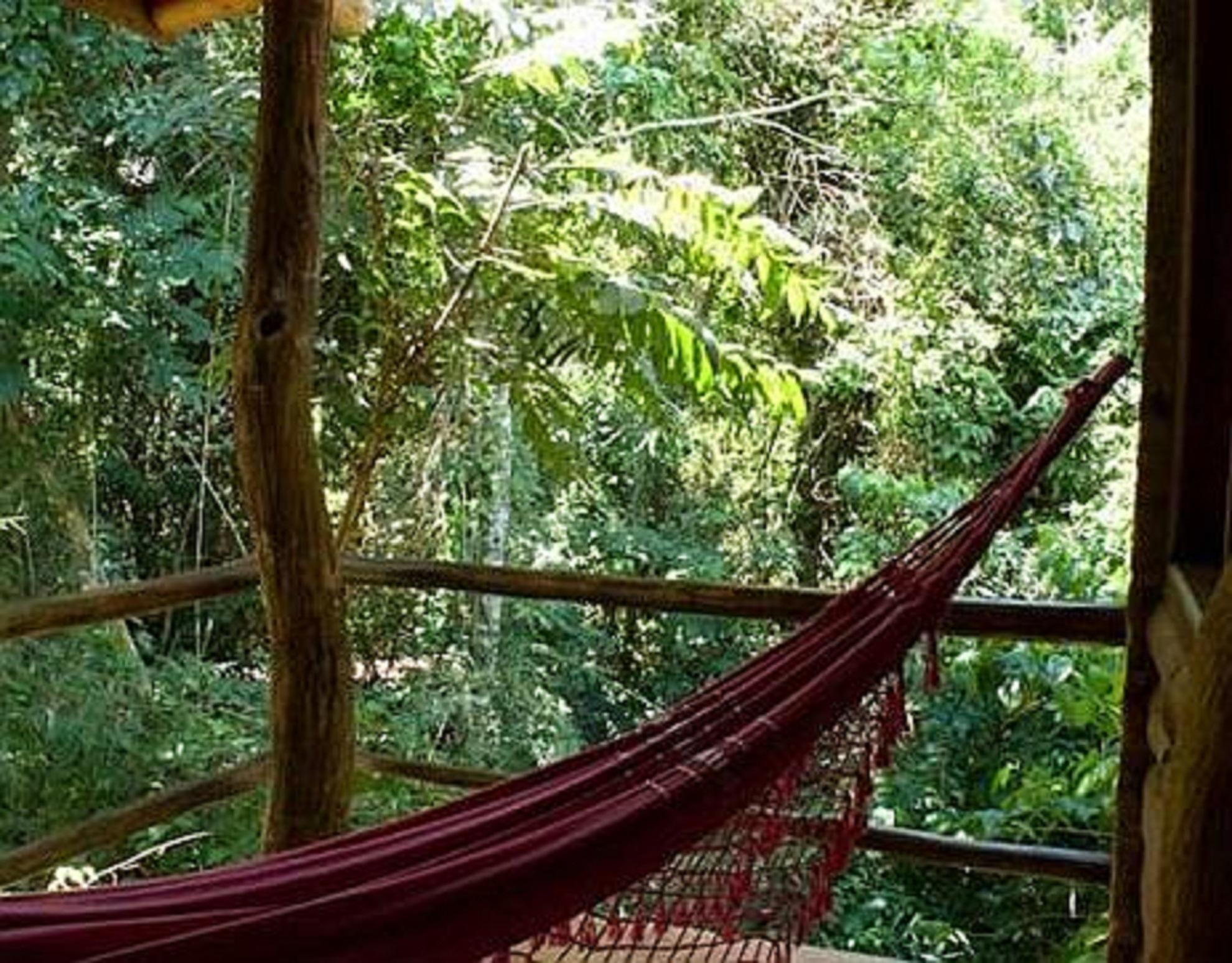 La Aldea De La Selva Lodge Puerto Iguazú Kültér fotó